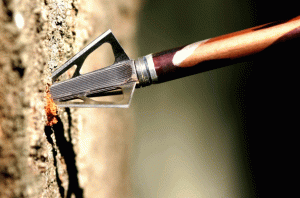 Read more about the article Filhos São Como Flechas